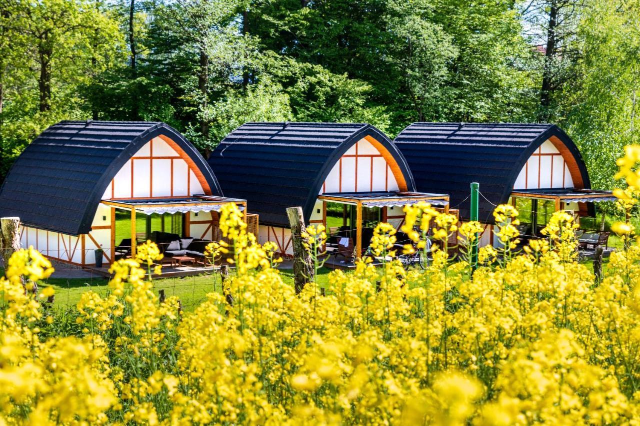 Sen I Wino, Domki Na Winnicy Ze Strefa Spa Живець Екстер'єр фото